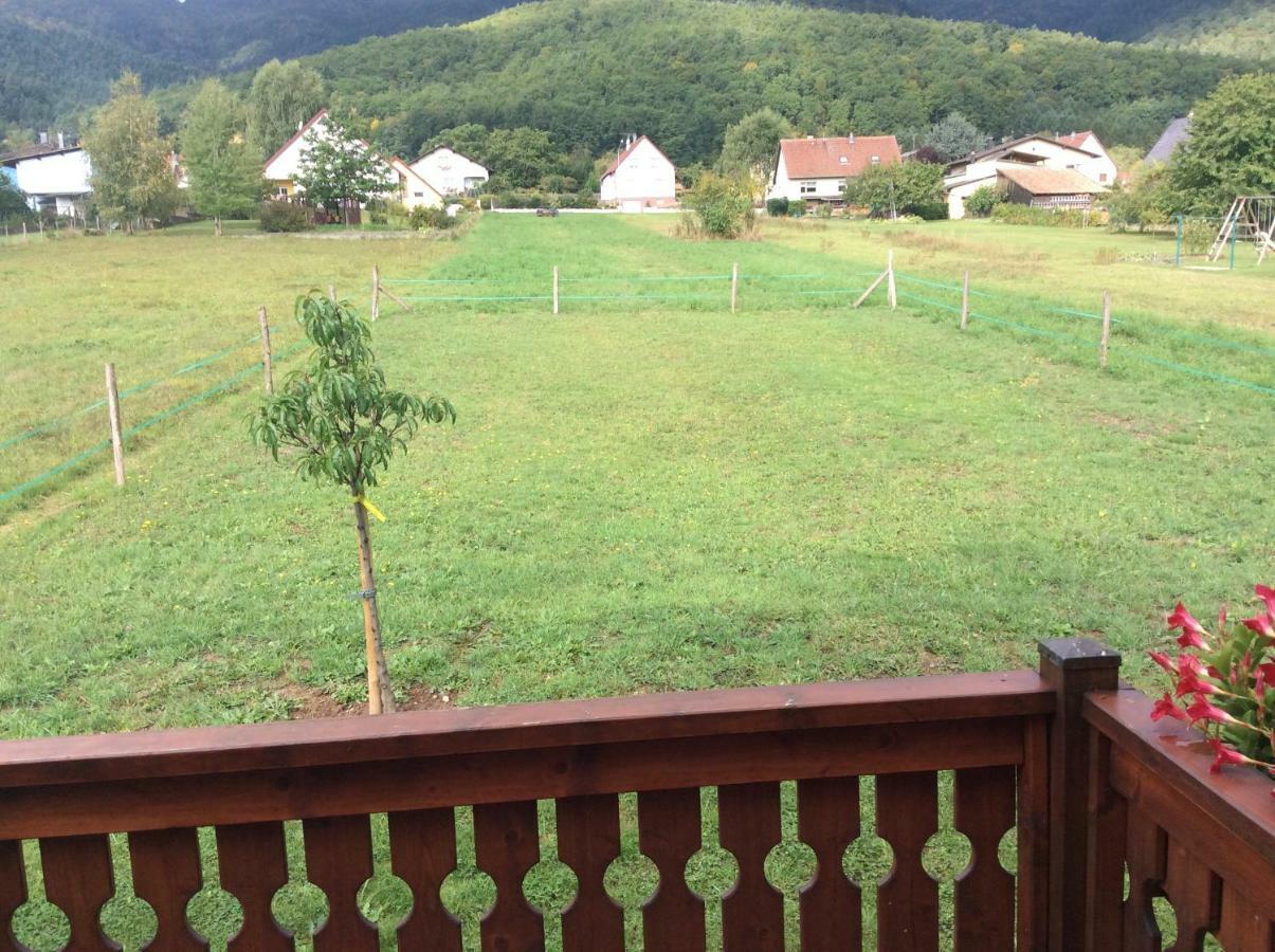Chalet Colline Et Lou Wintzfelden Εξωτερικό φωτογραφία